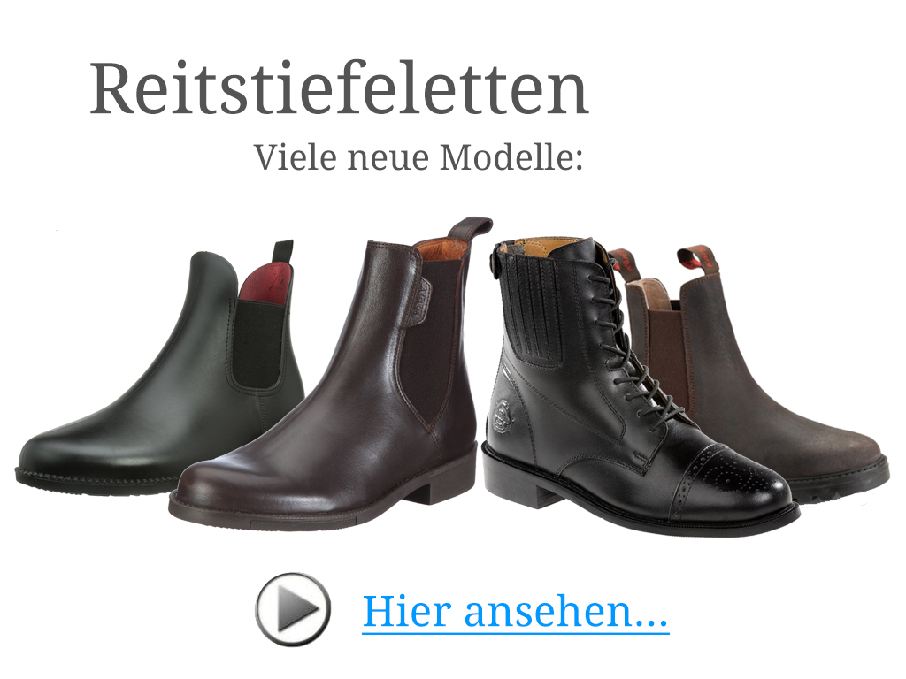 Neue Reitstiefeletten